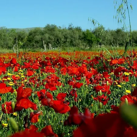 Bed & Breakfast Casa Filu Chiaramonte Gulfi