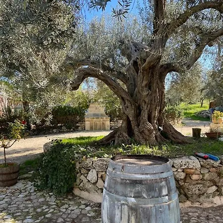 Casa Filu 3* Кьярамонте-Гульфи