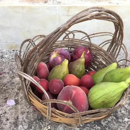 Casa Filu Отель типа 