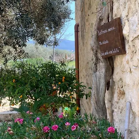Casa Filu