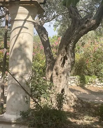 Casa Filu * 끼아라몬떼굴피
